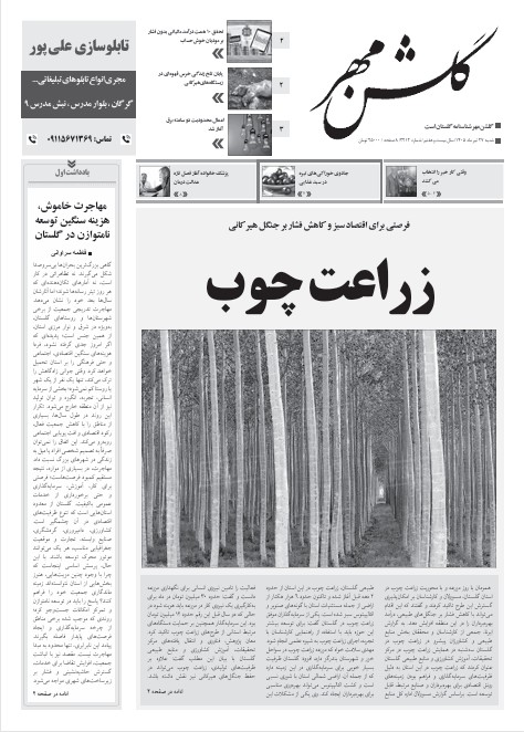 تصویر شاخص